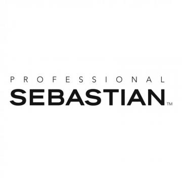 Sebastian Professional.jpg