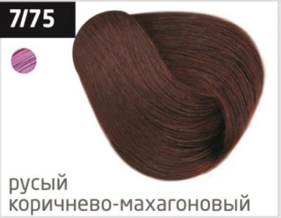4620753720640.jpg