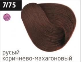 4620753720640.jpg