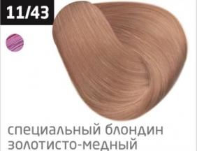 4620753725034.jpg